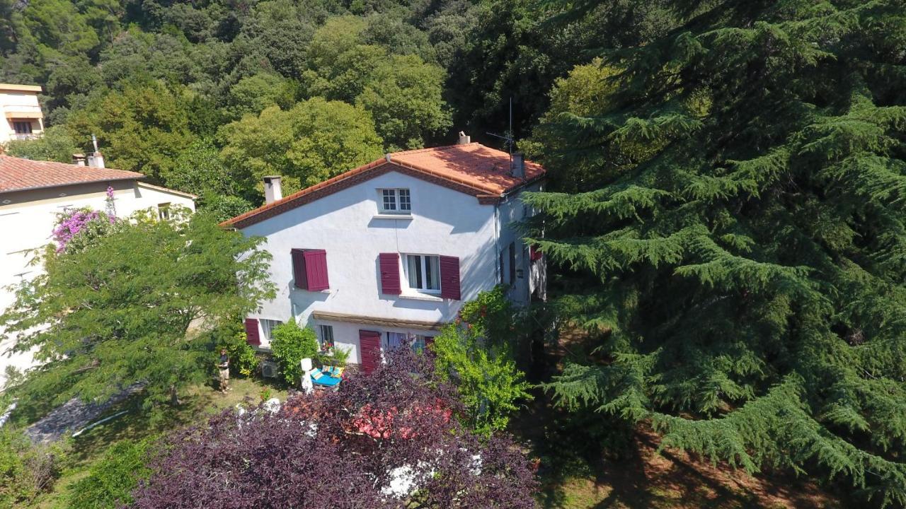 Villa Riviera Chambres Privees Amélie-les-Bains-Palalda Dış mekan fotoğraf