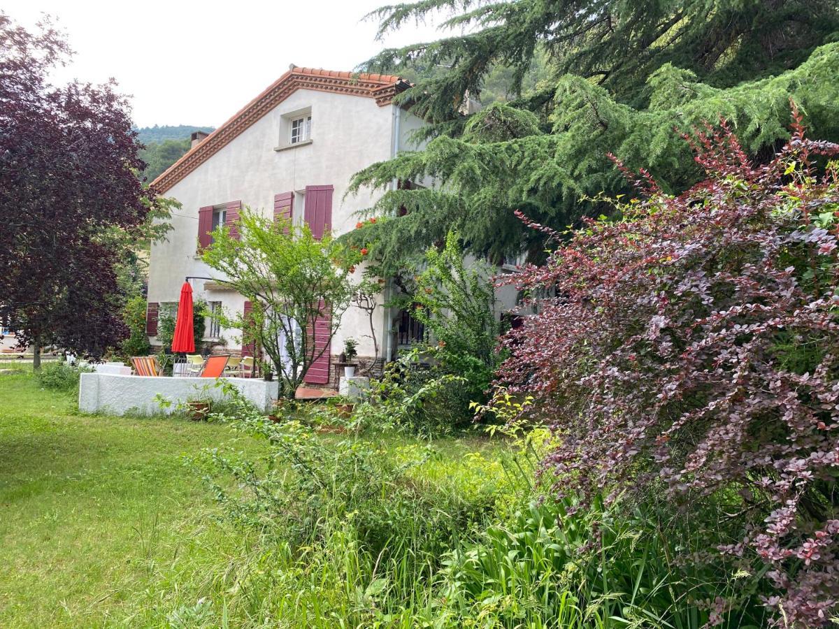 Villa Riviera Chambres Privees Amélie-les-Bains-Palalda Dış mekan fotoğraf